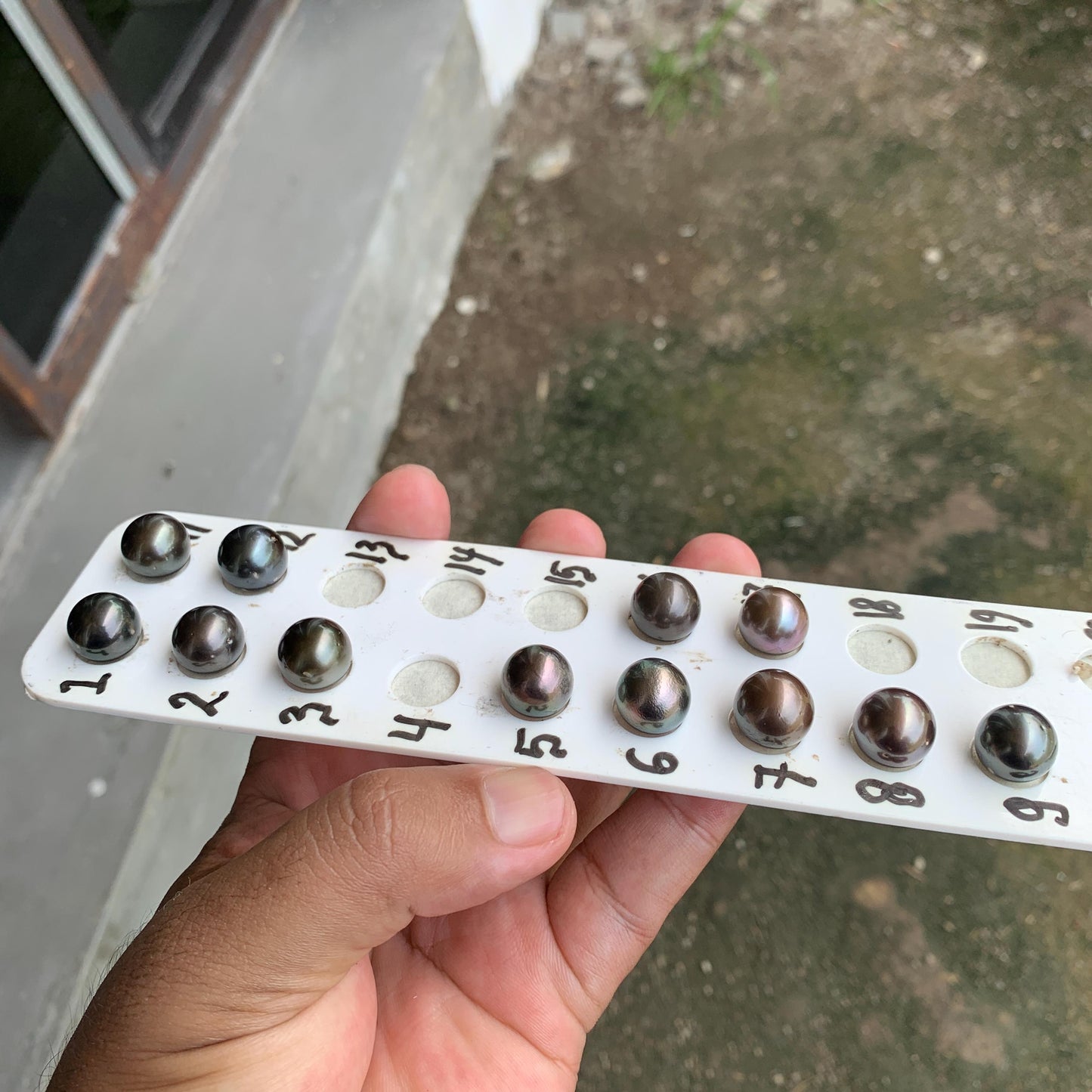 12mm Loose Seawater Tahitian Pearl Tahitian Edition Pearl Beads BoZorX BT-4