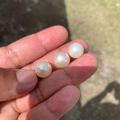 Indonesia Loose Seawater Pearl Special Edition Pearl Beads BoZorX Auct-I