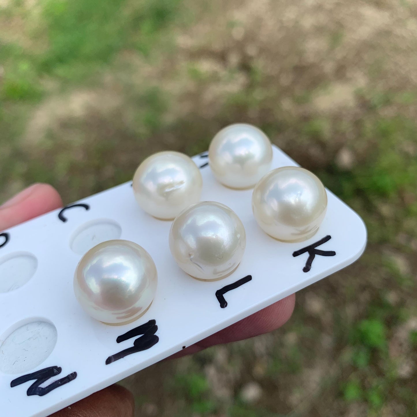 15.4-16.2mm Real south sea pearl saltwater pearl seawater pearl Pendant BoZorX HB-S