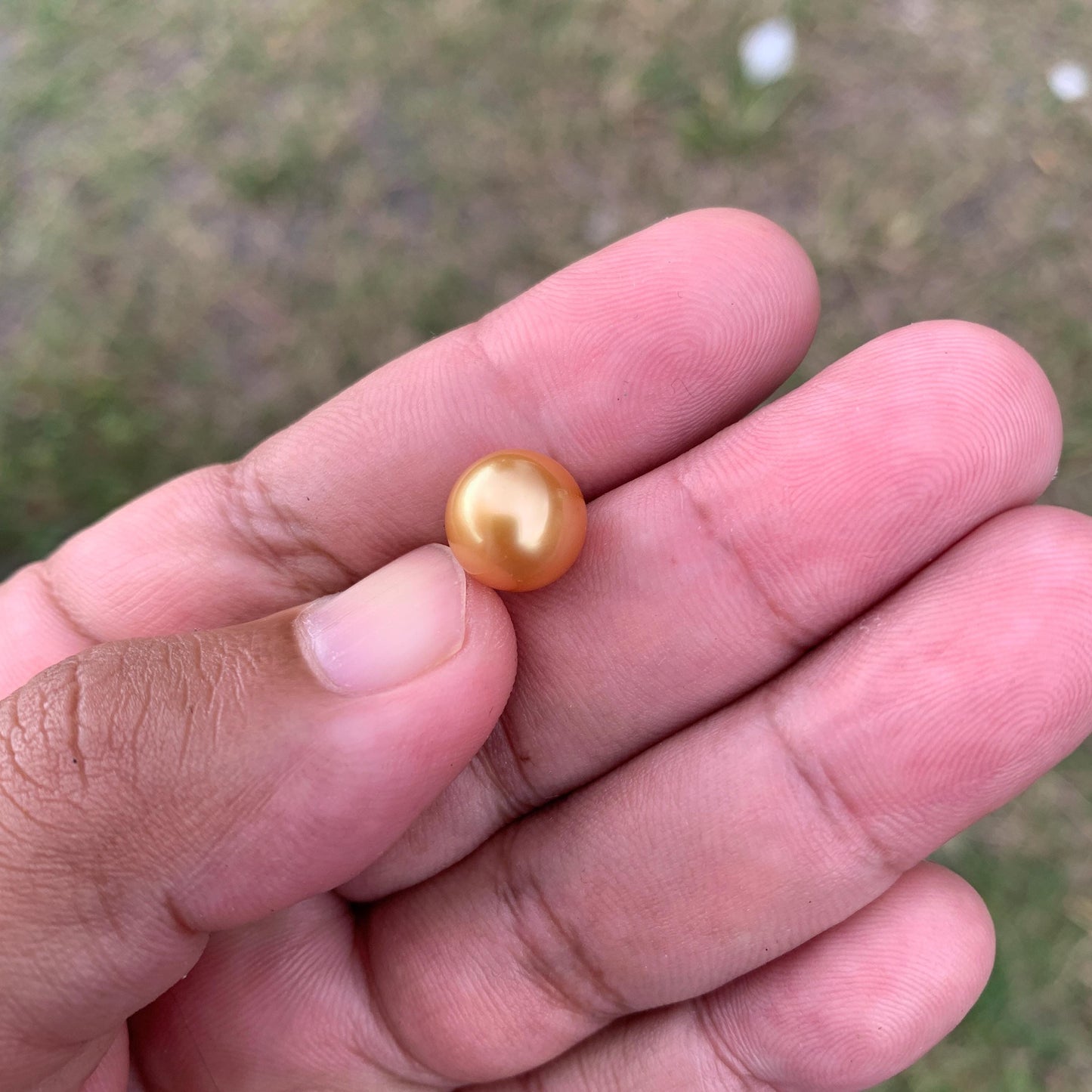 10.6mm Golden South Sea Pearl High Grade Loose Seawater Pearl PP3-6