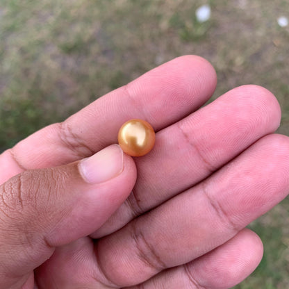 10.6mm Golden South Sea Pearl High Grade Loose Seawater Pearl PP3-6