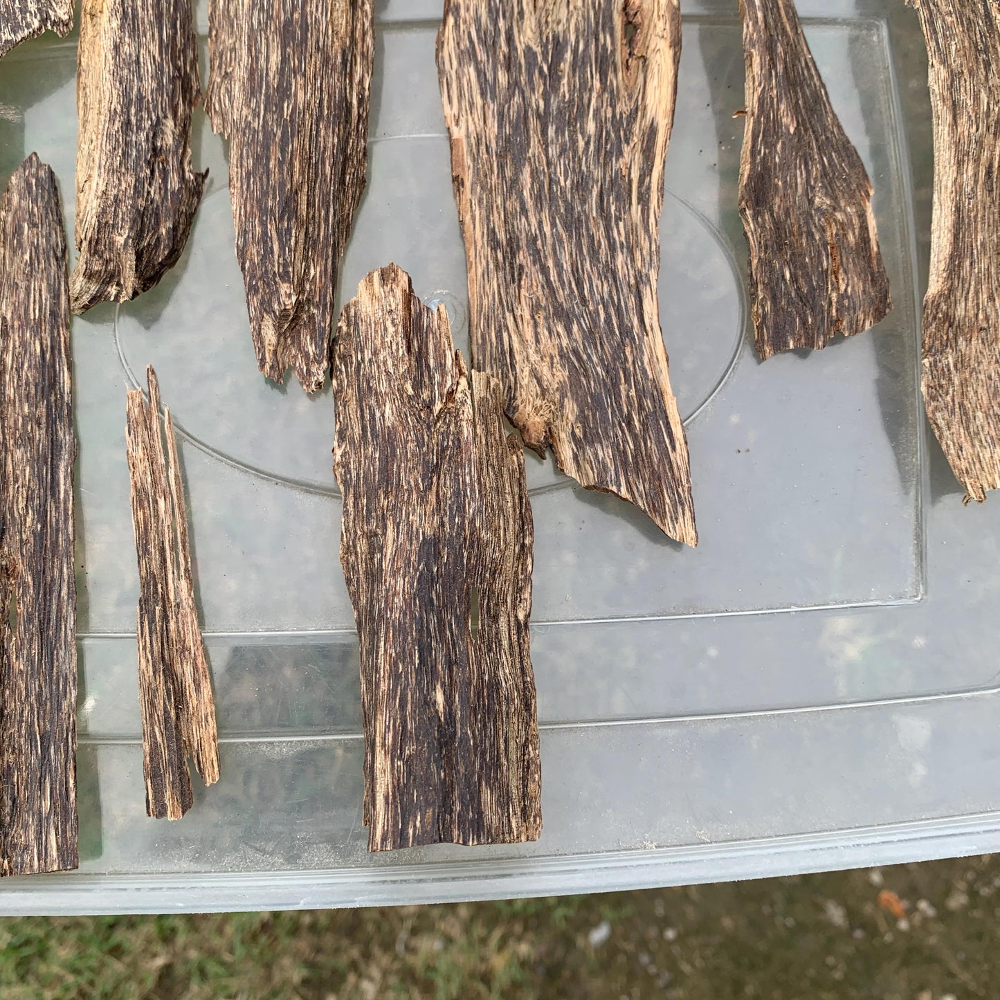 50 Grams Indonesia Agarwood Chips