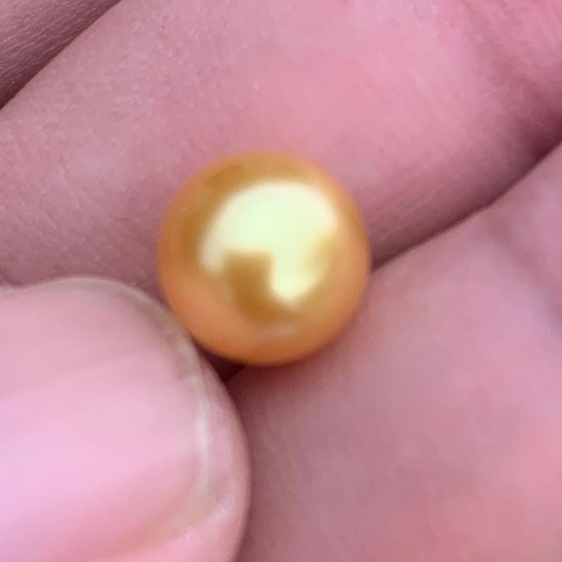 Loose Golden South Sea Pearl Beads Sea Pearl Beads High Grade Loose Saltwater Pearl Bead Small-4