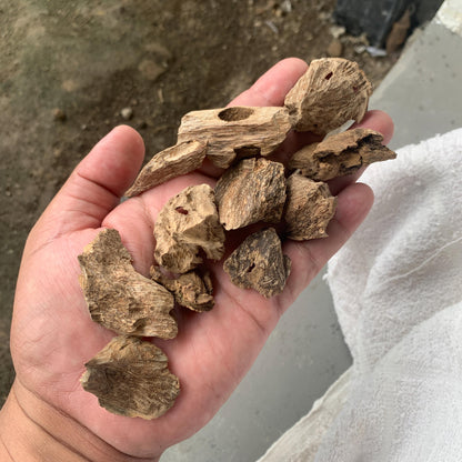 Agarwood Oud Aloes wood Englewood 50 Grams C4