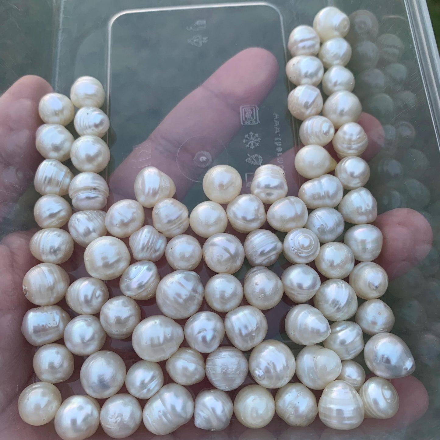 10-11mm White Circle Baroque Pearl Circle Pearl Loose Circle Baroque Sea Pearl Baroque Seawater Pearl Beads Baroque Circle White Pearl