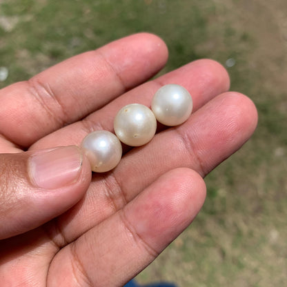 Indonesia Loose Seawater Pearl Special Edition Pearl Beads BoZorX Auct-E