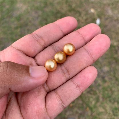 3 Pcs 10mm Golden South Sea Pearls High Grade Loose Gem  PP3-7