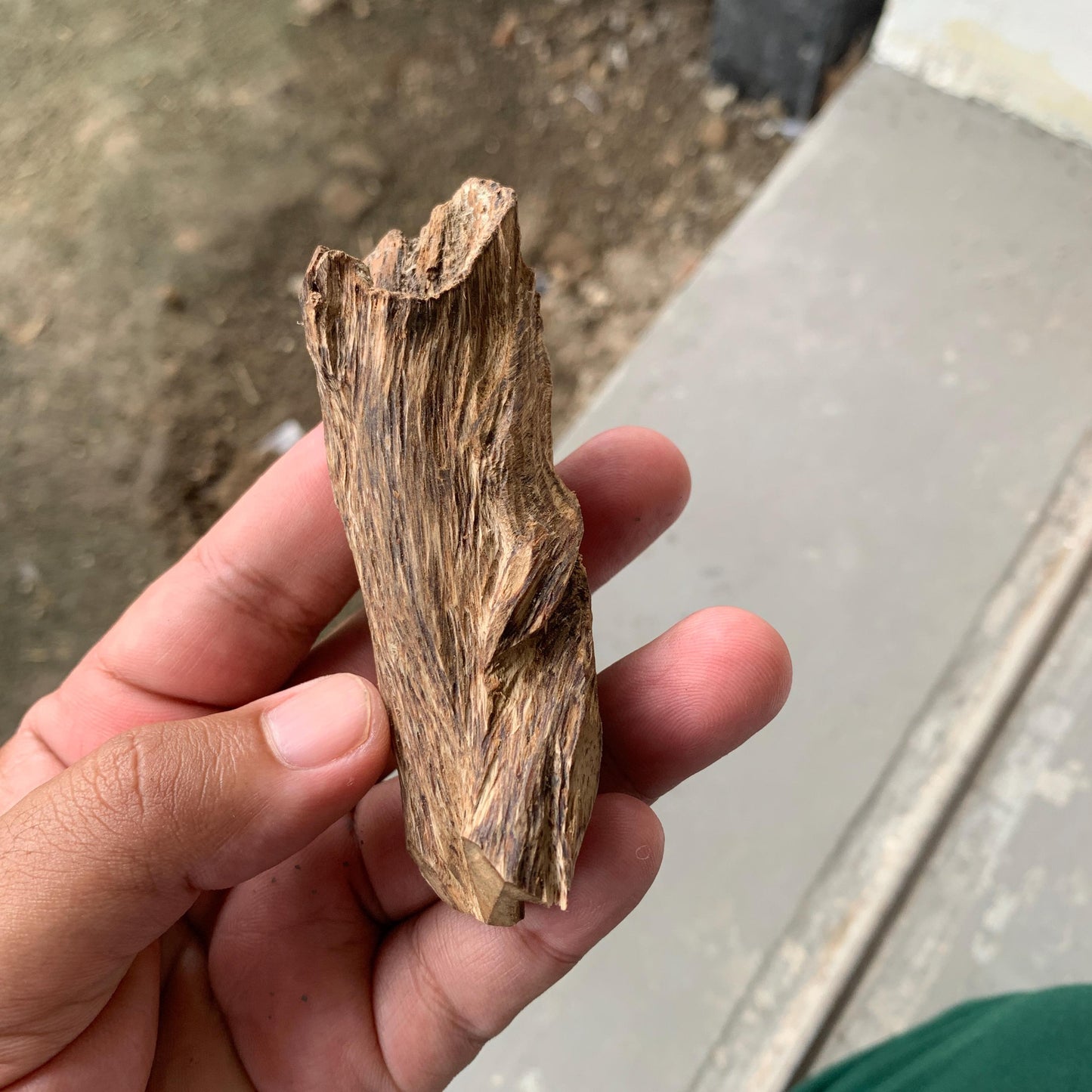 Agarwood Chips Chénxiāng Oud Incense Oudh Xiāng Kyara Kynam Aloeswood Kinam qí nán Jinkō Englewood 50 Grams C5 Solid Wood