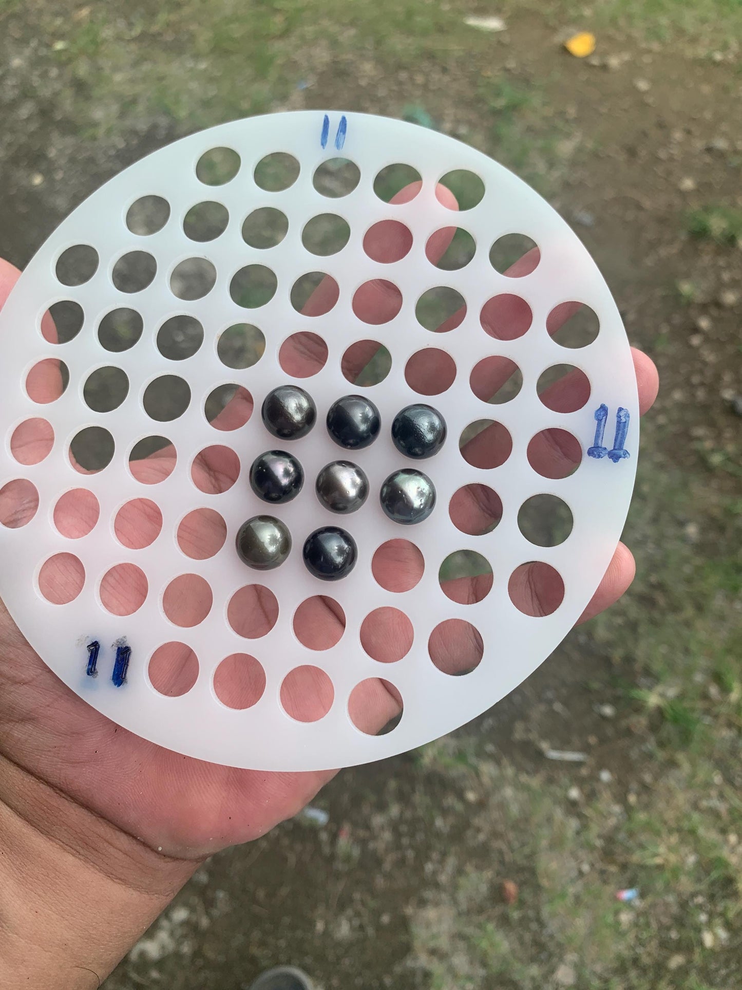 8 Pcs 11mm Loose Seawater Black Pearl Tahitian Edition Pearl Beads BoZorX BT-3