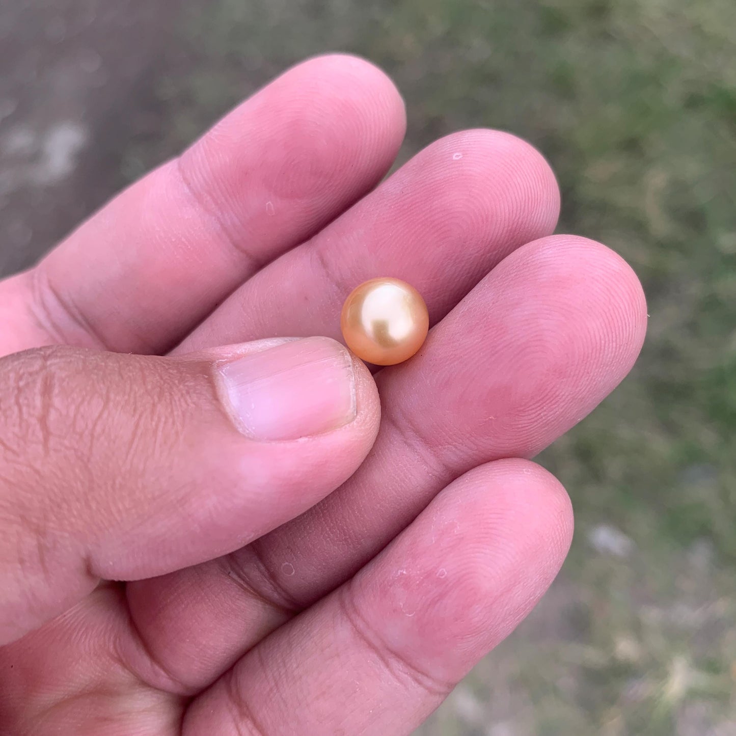 Loose Golden South Sea Pearl Beads Sea Pearl Beads High Grade Loose Saltwater Pearl Bead Small-2