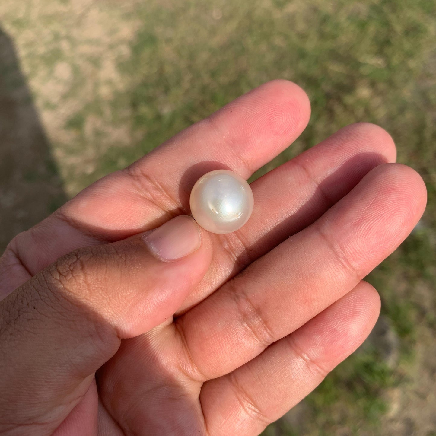 White South Sea Pearl Loose Indonesia Pearl (15.2x14.7mm) BoZorX FR-3