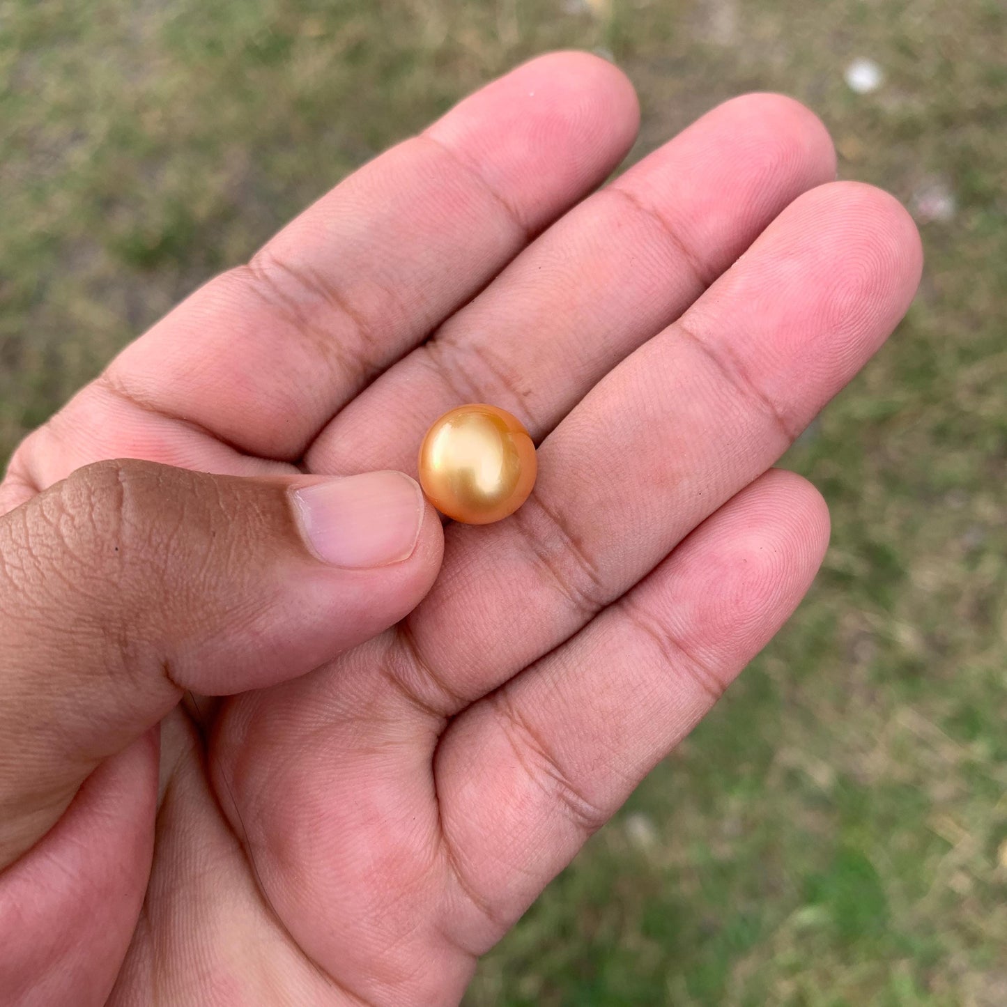 12mm Golden South Sea Pearl High Grade Loose Gold Seawater Pearl PP3-5