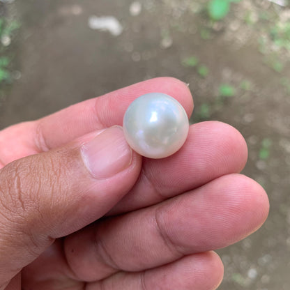 White South Sea Pearl: Loose Indonesia Pearl (15.7x15.4mm) BoZorX FR-1