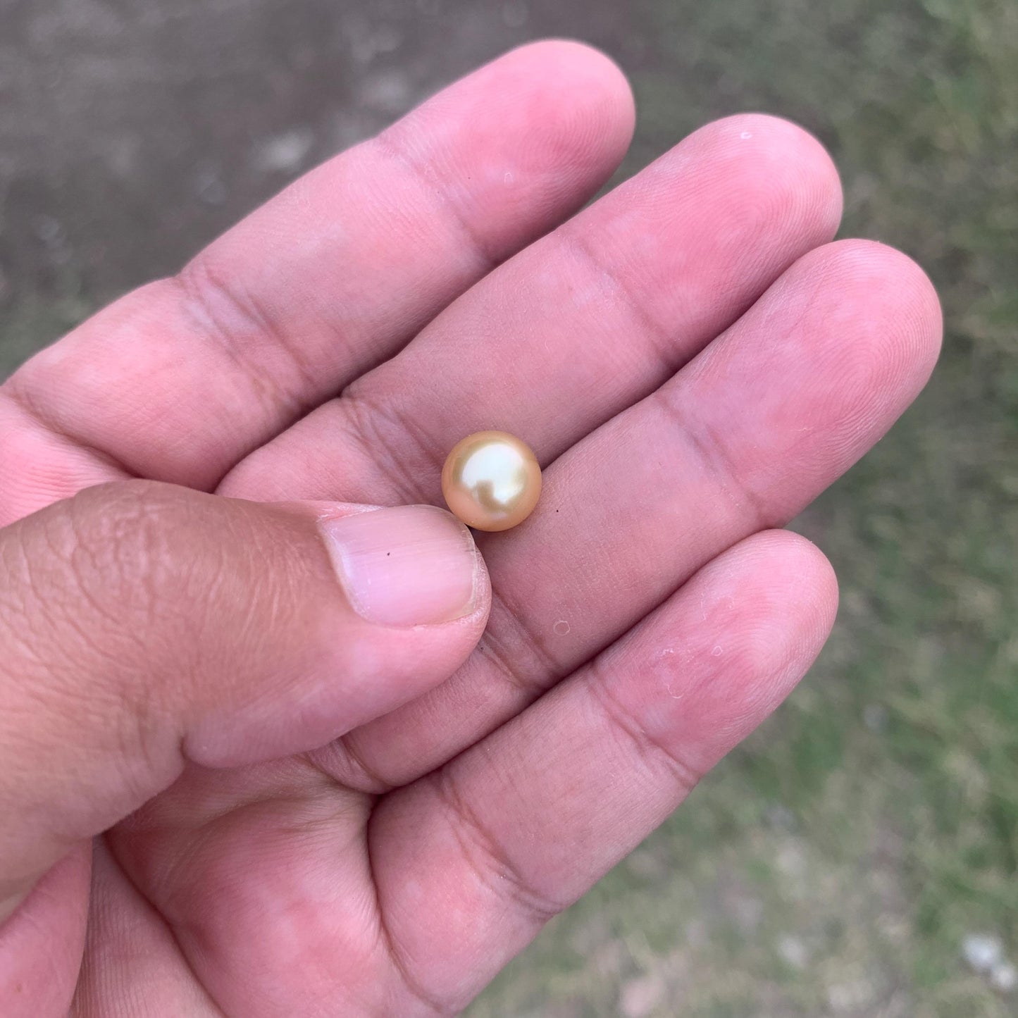 Loose Golden South Sea Pearl Beads Sea Pearl Beads High Grade Loose Saltwater Pearl Bead Small-3