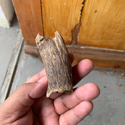 Agarwood Chips Chénxiāng Oud Incense Oudh Xiāng Kyara Kynam Aloeswood Kinam qí nán Jinkō Englewood 50 Grams C5 Solid Wood