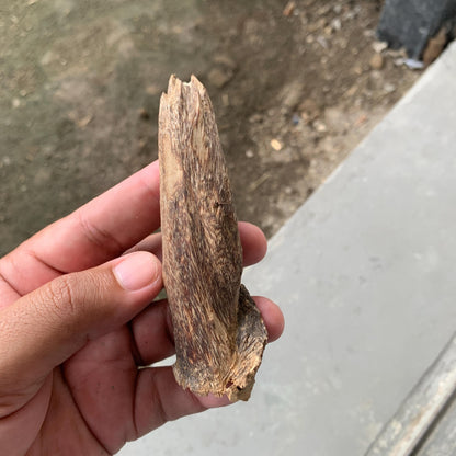 Agarwood Chips Chénxiāng Oud Incense Oudh Xiāng Kyara Kynam Aloeswood Kinam qí nán Jinkō Englewood 50 Grams C5 Solid Wood