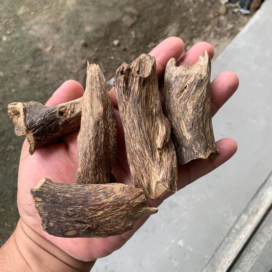 Agarwood Chips Chénxiāng Oud Incense Oudh Xiāng Kyara Kynam Aloeswood Kinam qí nán Jinkō Englewood 50 Grams C5 Solid Wood