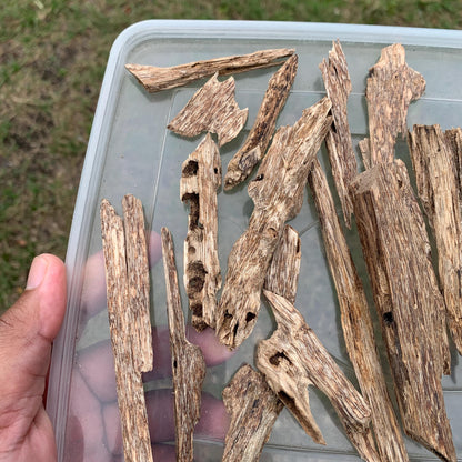 50グラム 沉香 奇楠 沈香 العود C7 50 Grams Agarwood Oud