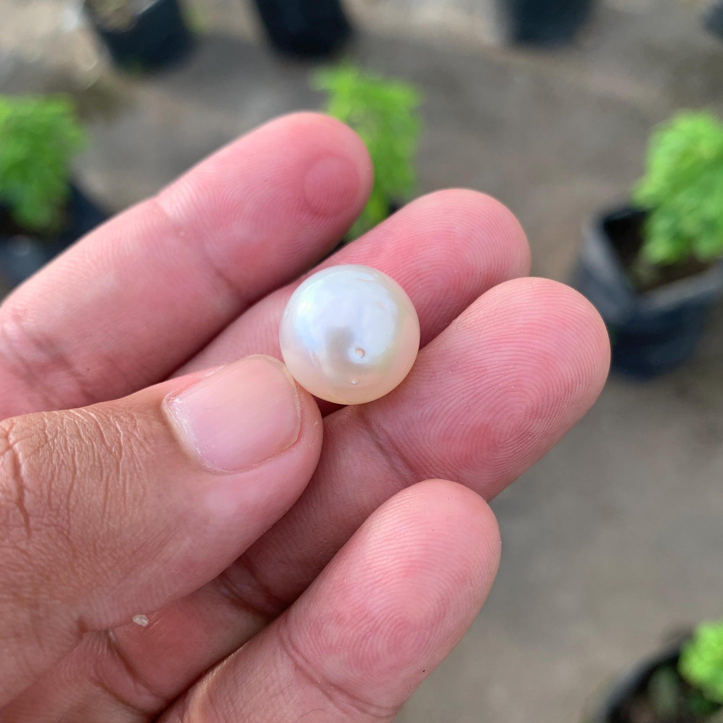 14.6mm Loose White South Sea Pearl Indonesia BoZorX FR-4