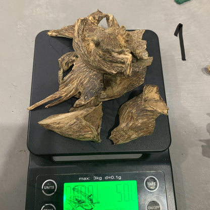 Agarwood Chips Chénxiāng Oud Incense Oudh Xiāng Kyara Kynam Aloeswood Kinam qí nán Jinkoh Englewood Grams  Solid Wood