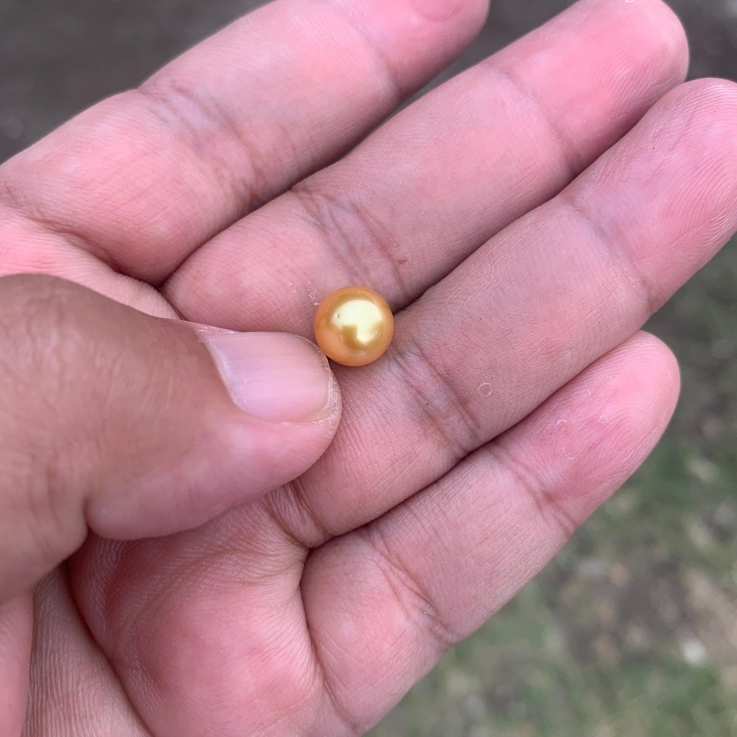 Loose Golden South Sea Pearl Beads Sea Pearl Beads High Grade Loose Saltwater Pearl Bead Small-4
