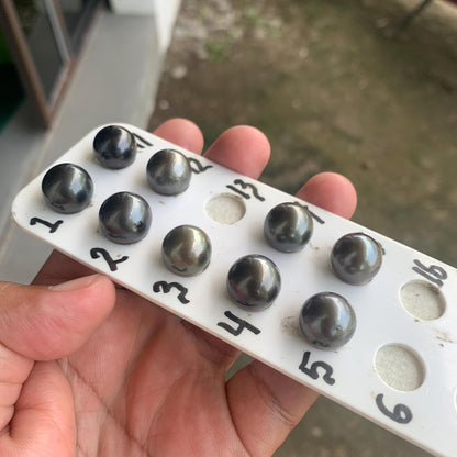 13mm Loose Seawater Tahitian Pearl Tahitian Edition Pearl Beads BoZorX BT-5