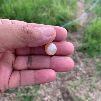 13mm Real south sea pearl saltwater pearl seawater pearl Pendant BoZorX L-7