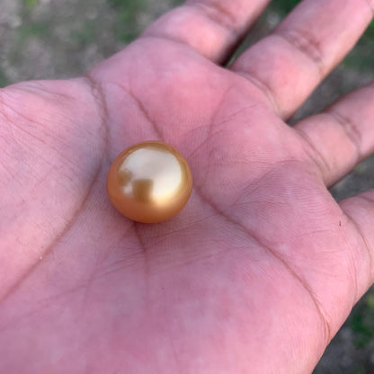 16.2x15.4mm Large Golden South Sea Pearl Undrilled Seawater Pearl PP-2
