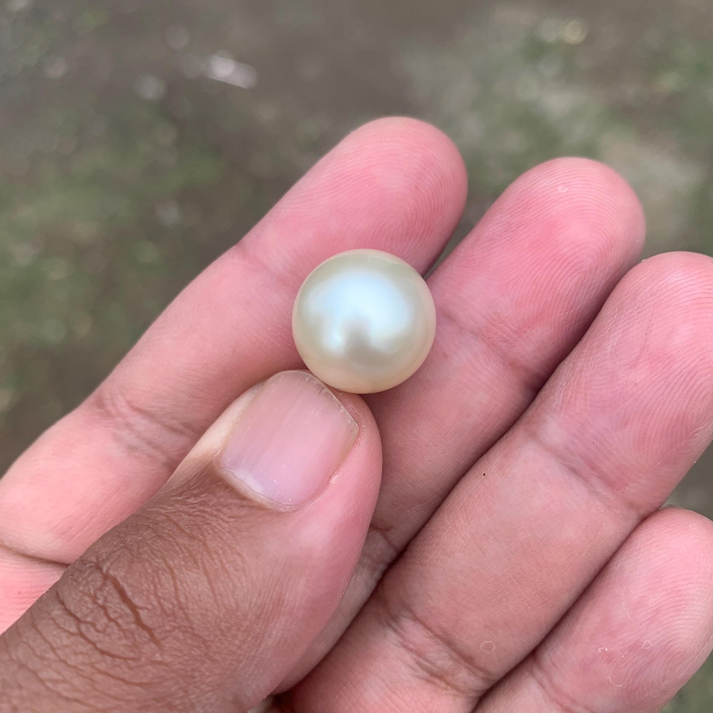 14.5mm Loose White South Sea Pearl Beads Sea Pearl Beads High Grade Loose Saltwater Pearl Bead