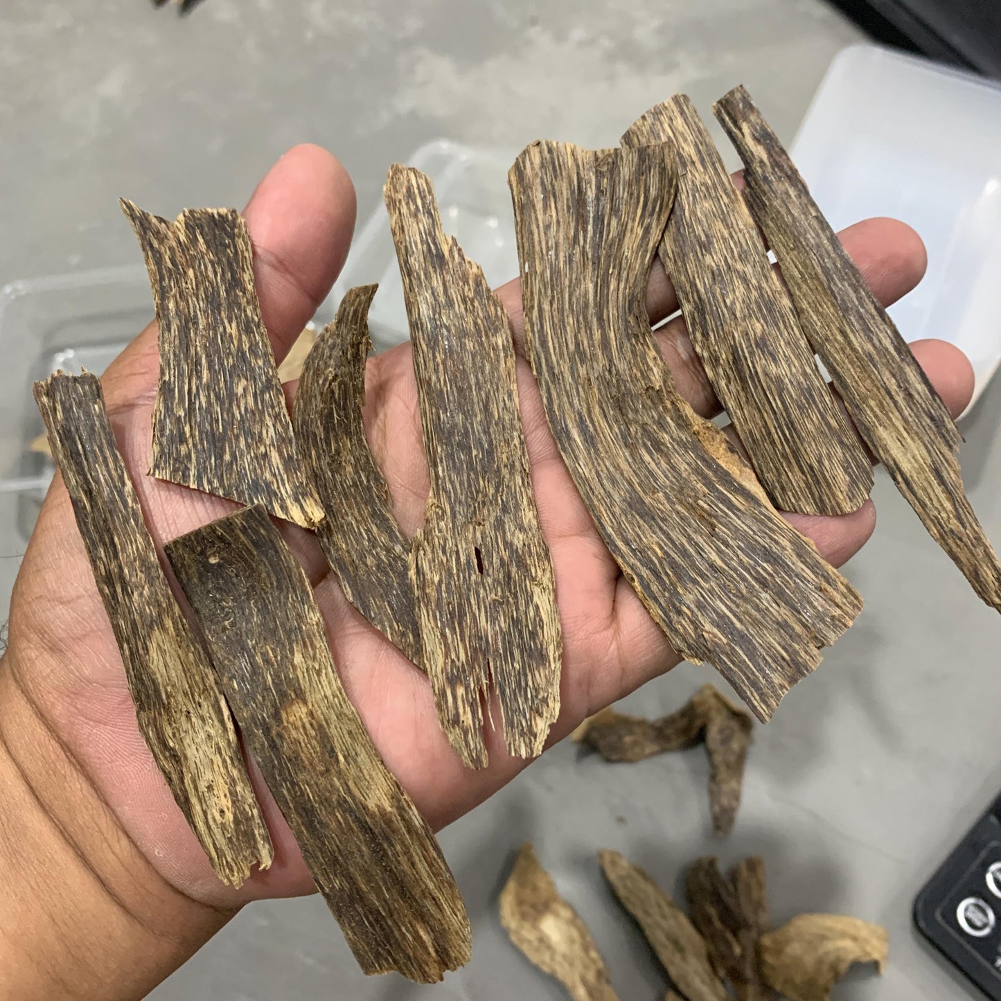 100 Grams Agarwood Oud Chips Aloes Wood