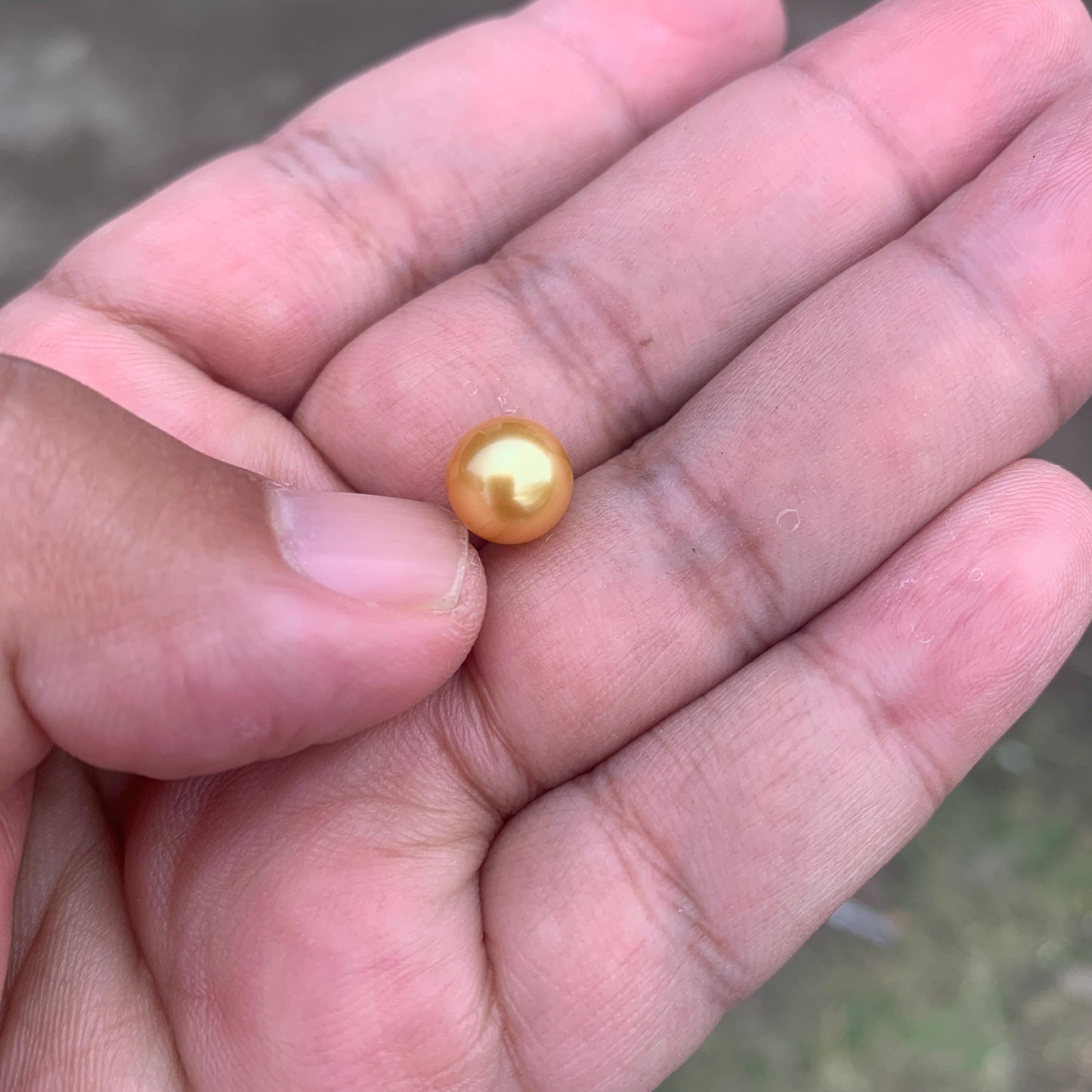 Loose Golden South Sea Pearl Beads Sea Pearl Beads High Grade Loose Saltwater Pearl Bead Small-4