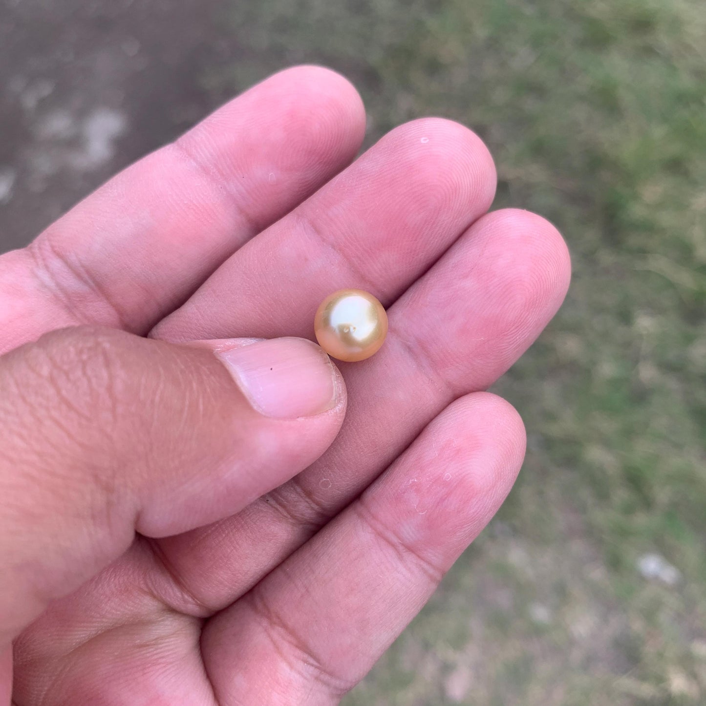 Loose Golden South Sea Pearl Beads Sea Pearl Beads High Grade Loose Saltwater Pearl Bead Small-3