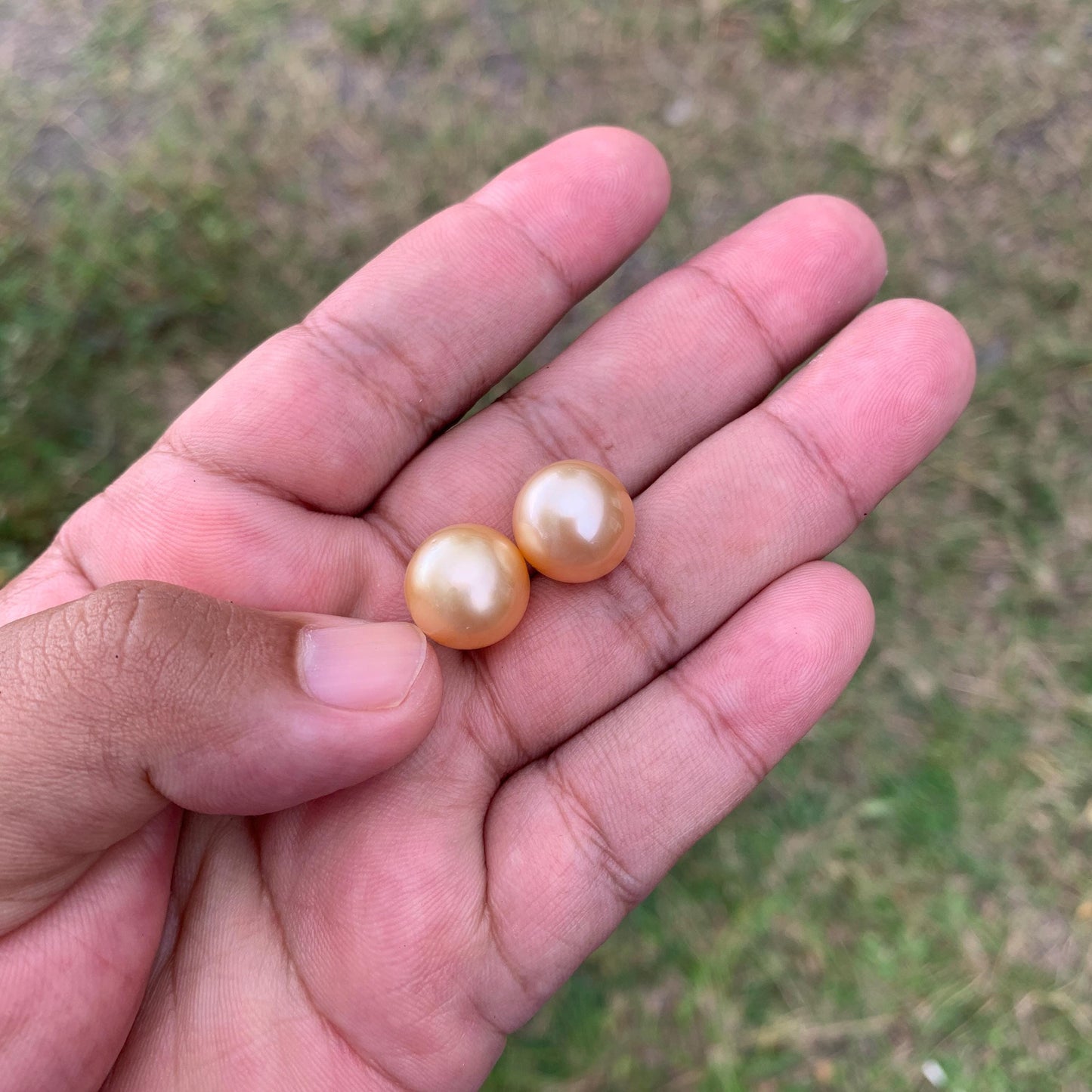 2 Pcs 13mm Golden South Sea Pearl Pair High Grade Loose Gemstones PP3-3