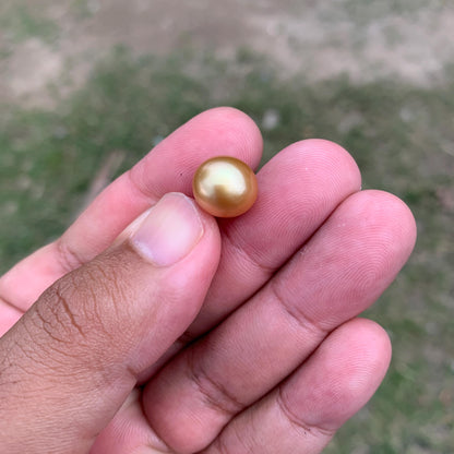 11.6mm Golden South Sea Pearl High Grade Loose Gem PP4-B