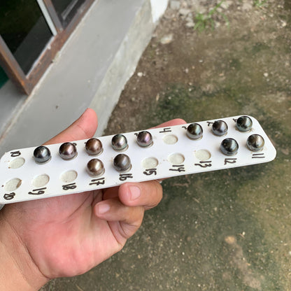 12mm Loose Seawater Tahitian Pearl Tahitian Edition Pearl Beads BoZorX BT-4