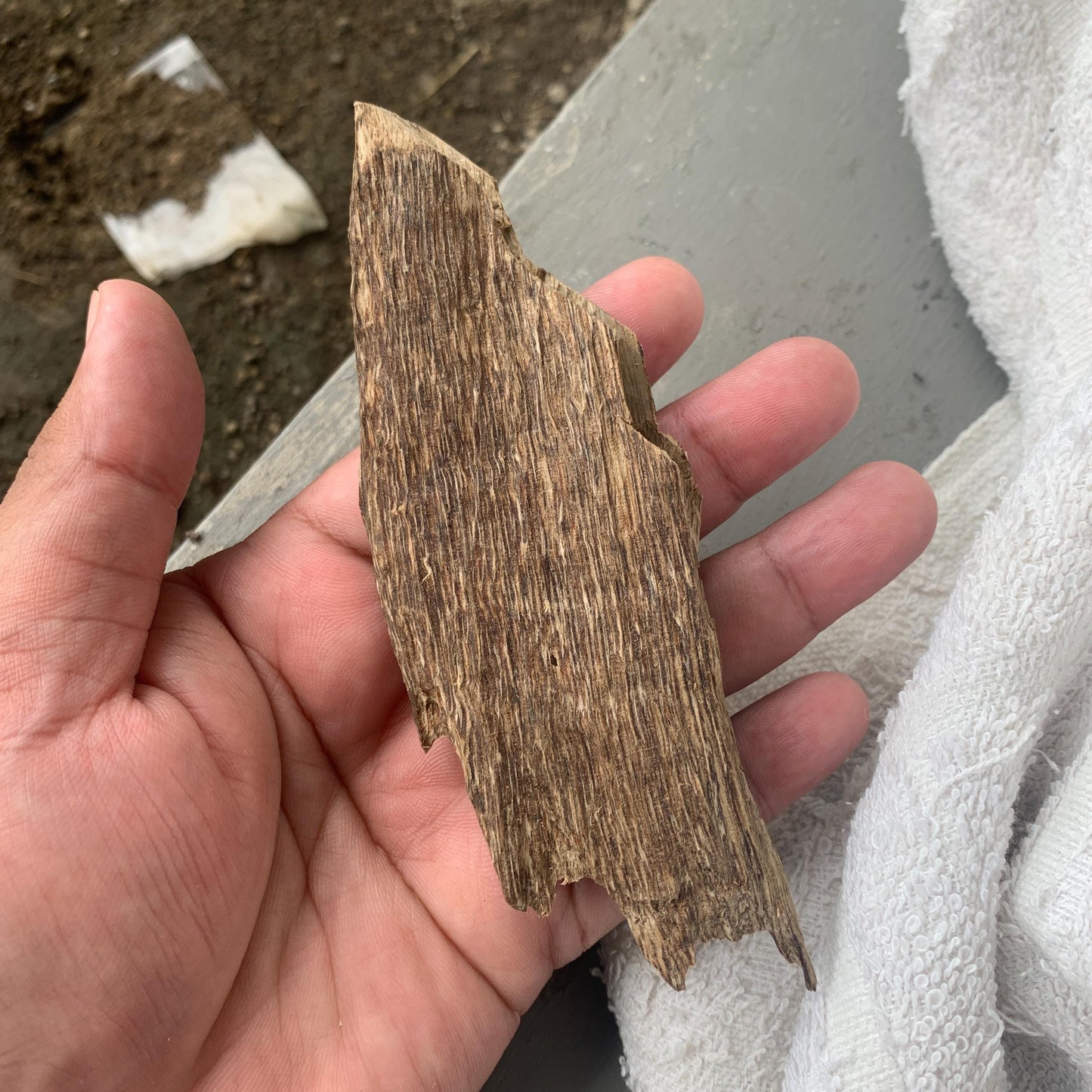 Agarwood Chips 沉香 Chénxiāng Oud Incense Oudh Xiāng Kyara Kynam Aloeswood Kinam 奇楠 qí nán 沈香 Jinkō Englewood 50 Grams العود Small Chips C3