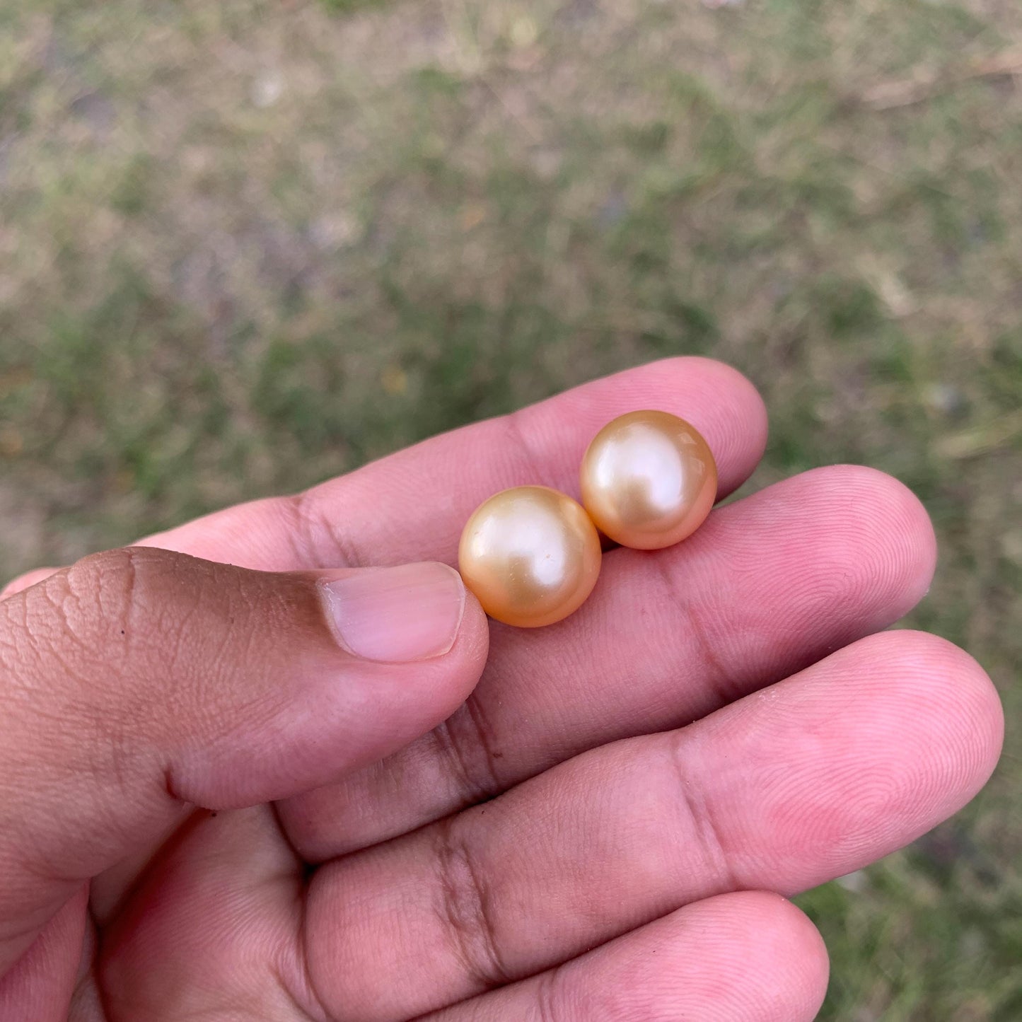 2 Pcs 13mm Golden South Sea Pearl Pair High Grade Loose Gemstones PP3-3