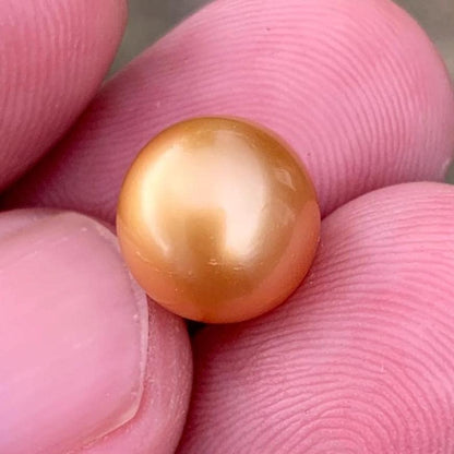 10.6mm Golden South Sea Pearl High Grade Loose Seawater Pearl PP3-6