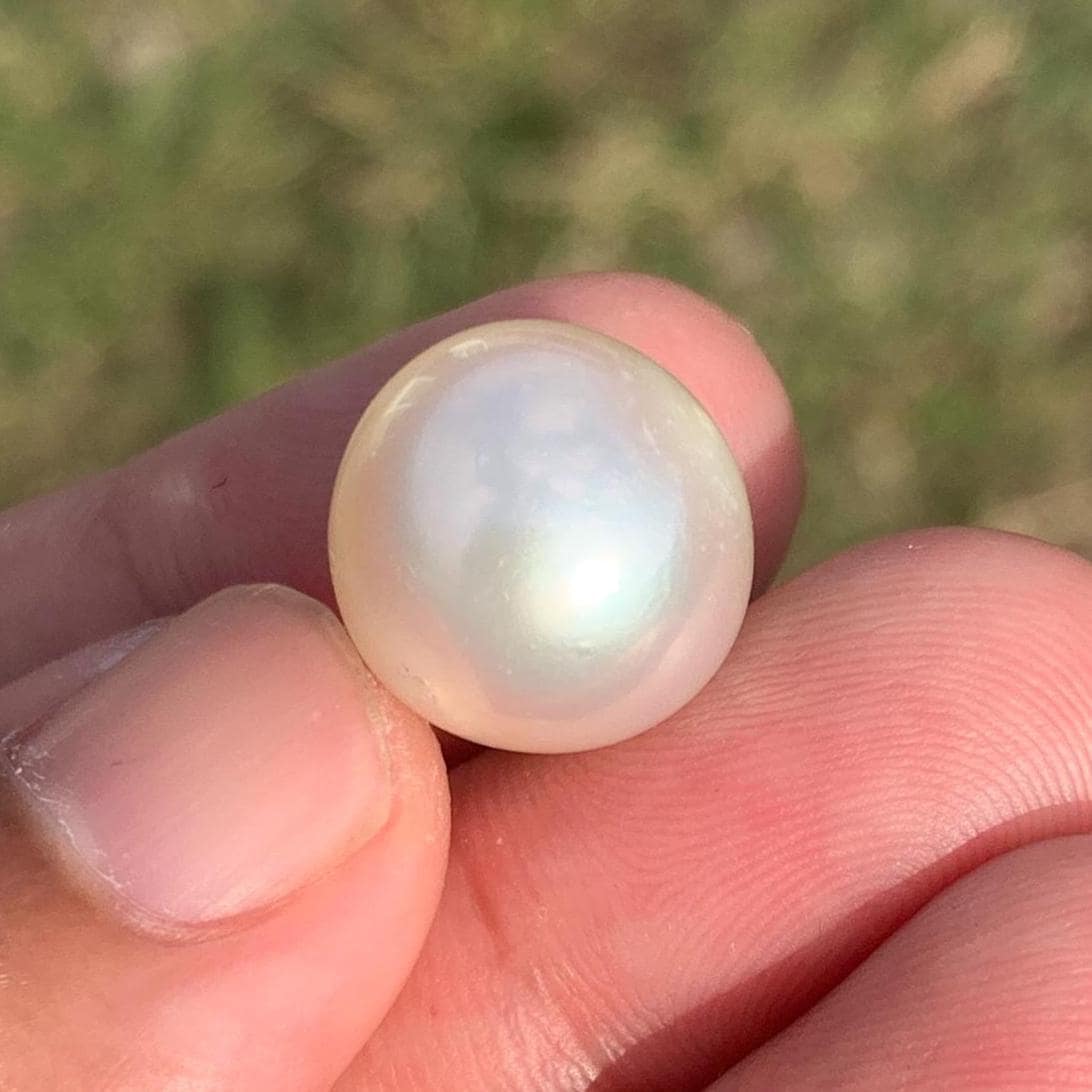 White South Sea Pearl Loose Indonesia Pearl (15.2x14.7mm) BoZorX FR-3