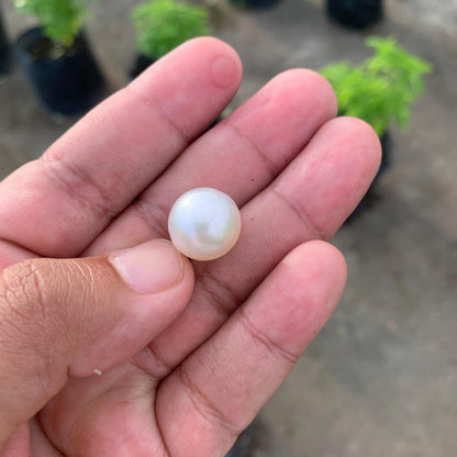 14.6mm Loose White South Sea Pearl Indonesia BoZorX FR-4