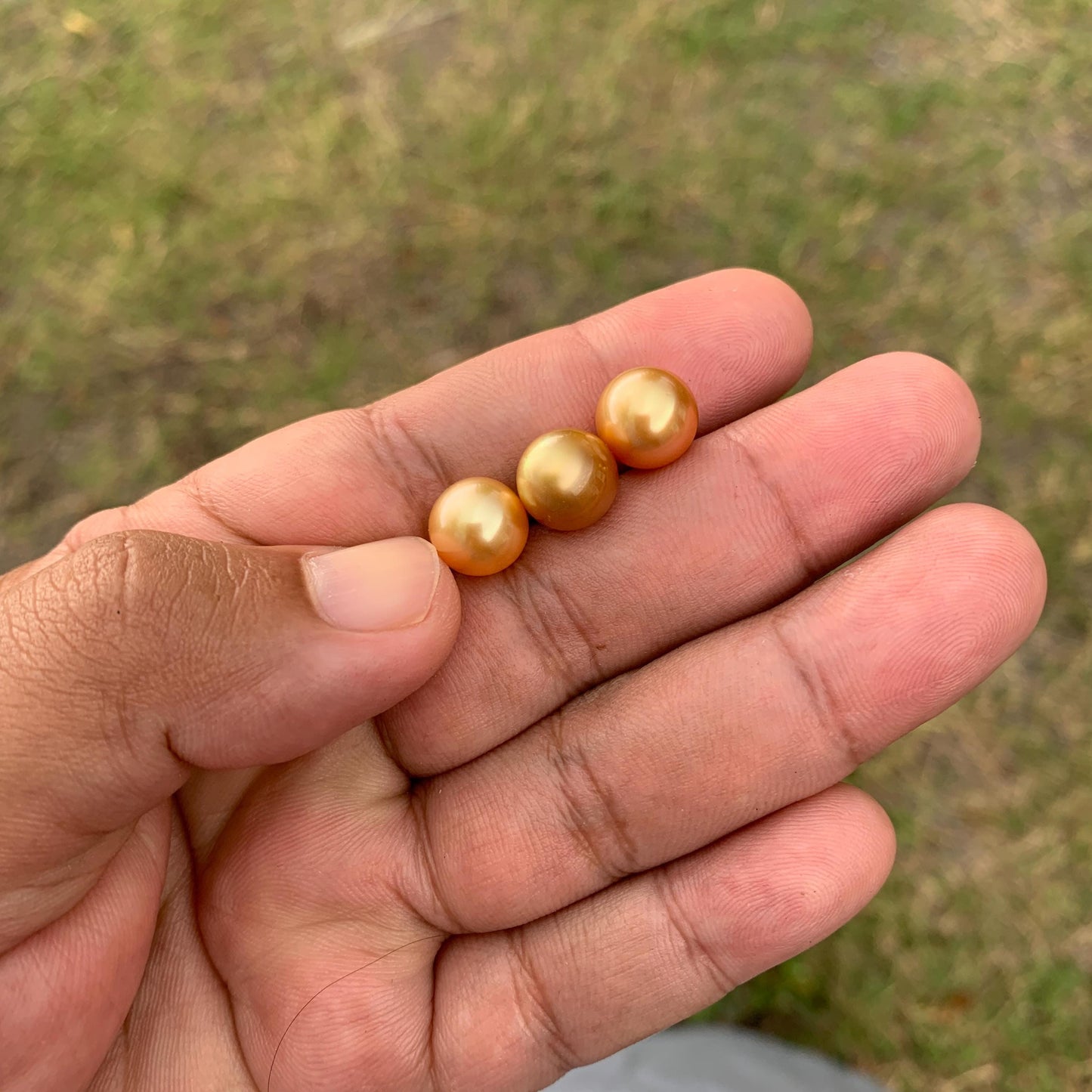 3 Pcs 10mm Golden South Sea Pearls High Grade Loose Gem  PP3-7