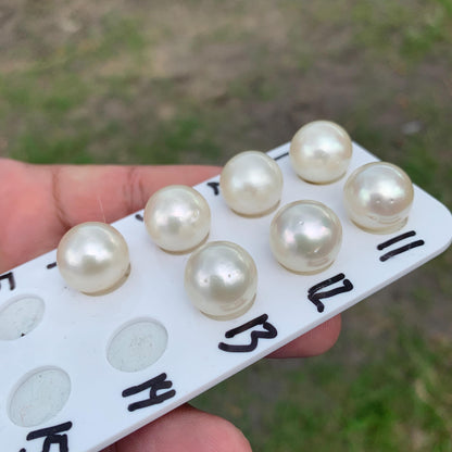 Large South Sea Pearl Beads: Genuine Indonesian Loose Pearls (14.4-14.9mm) HB-R3