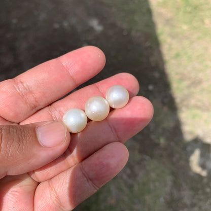 Indonesia Loose Seawater Pearl Special Edition Pearl Beads BoZorX Auct-I