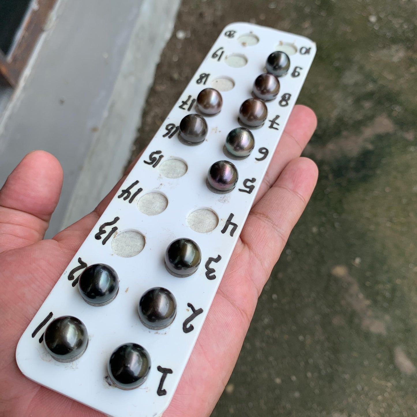 12mm Loose Seawater Tahitian Pearl Tahitian Edition Pearl Beads BoZorX BT-4