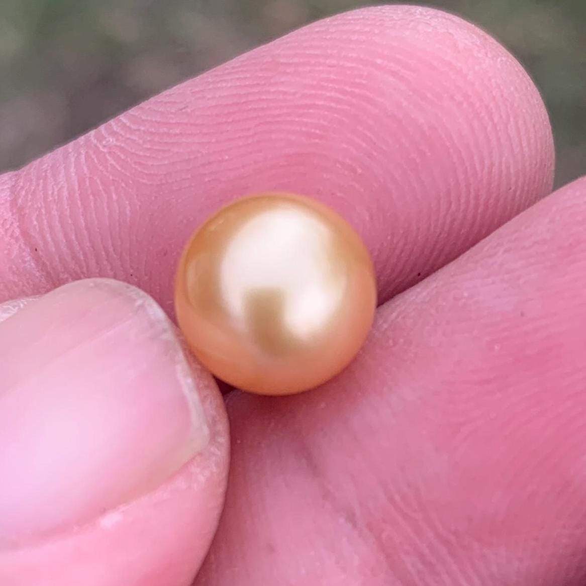 Loose Golden South Sea Pearl Beads Sea Pearl Beads High Grade Loose Saltwater Pearl Bead Small-2