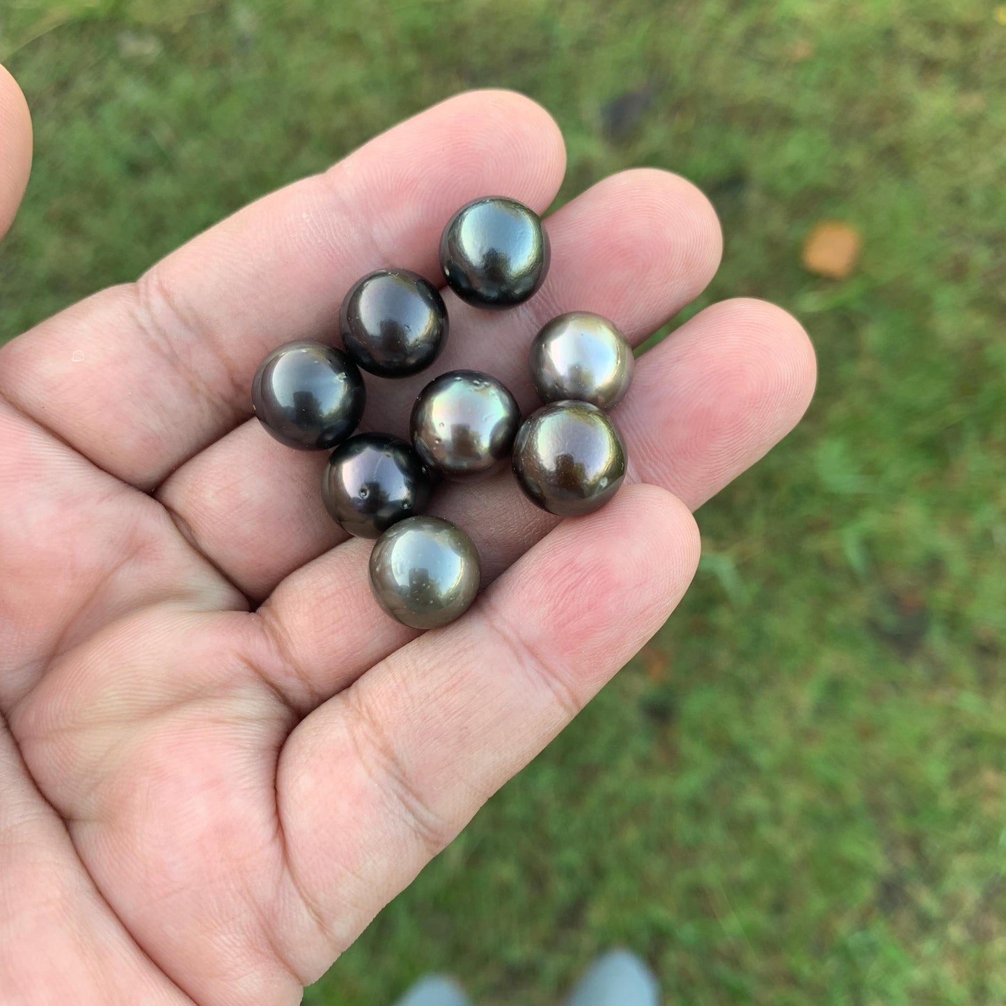 8 Pcs 11mm Loose Seawater Black Pearl Tahitian Edition Pearl Beads BoZorX BT-3