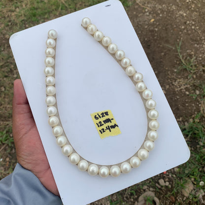 12-12.4mm White South Sea Pearl Indonesian Saltwater Seawater Pearl Necklace GR-9