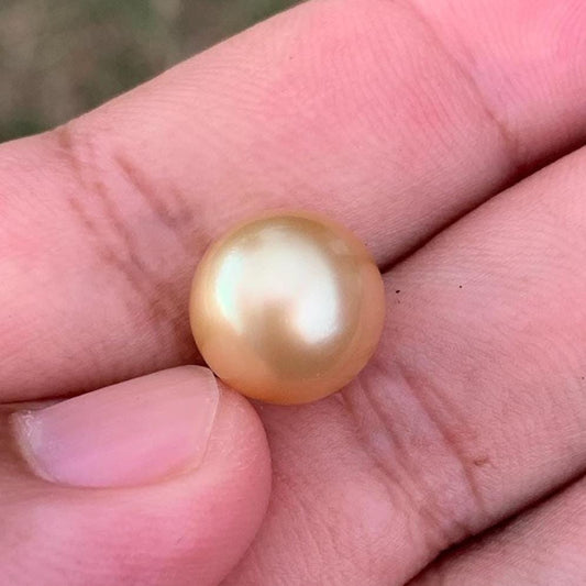 12.6mm Golden South Sea Pearl High Grade Loose Gem PP3-4