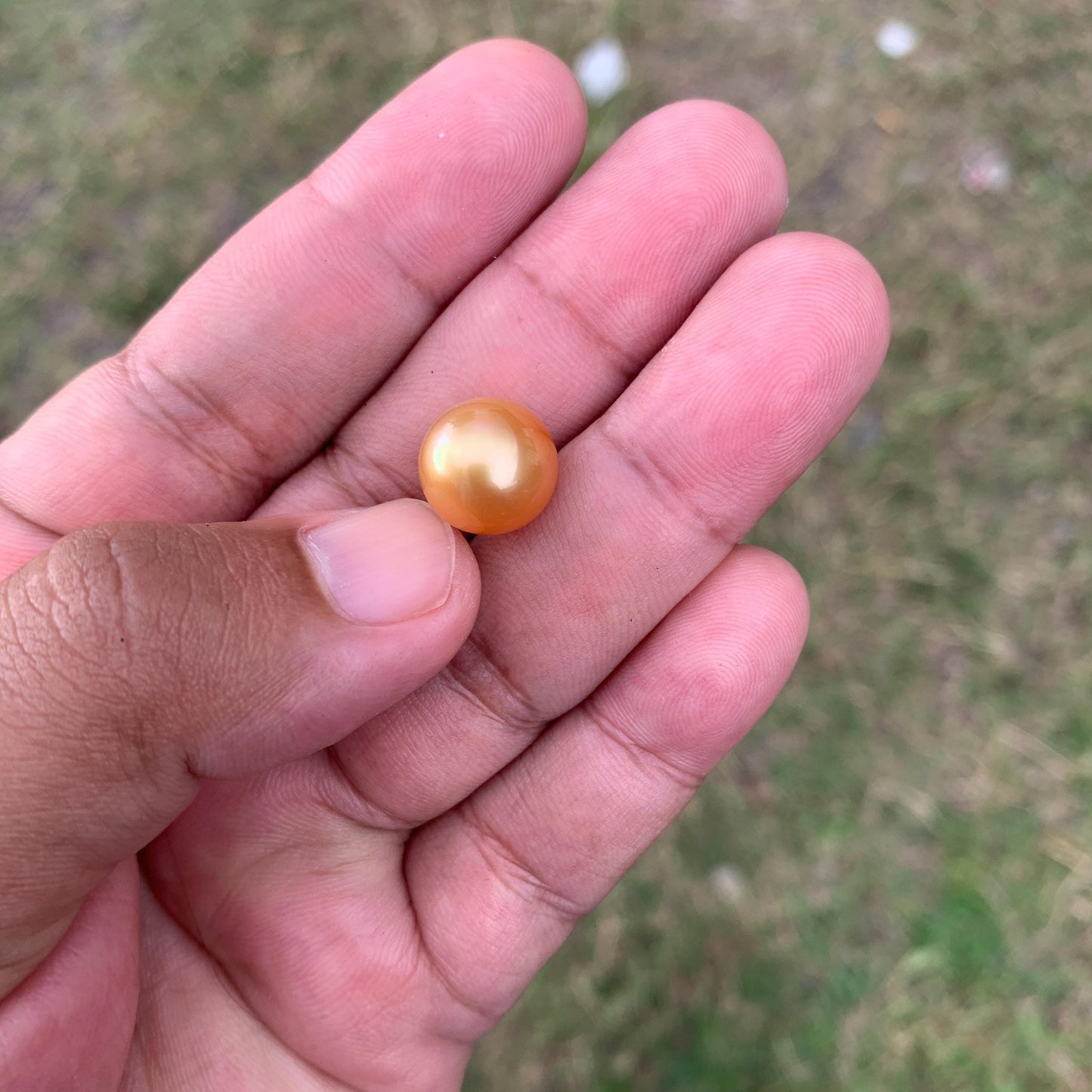 12mm Golden South Sea Pearl High Grade Loose Gold Seawater Pearl PP3-5