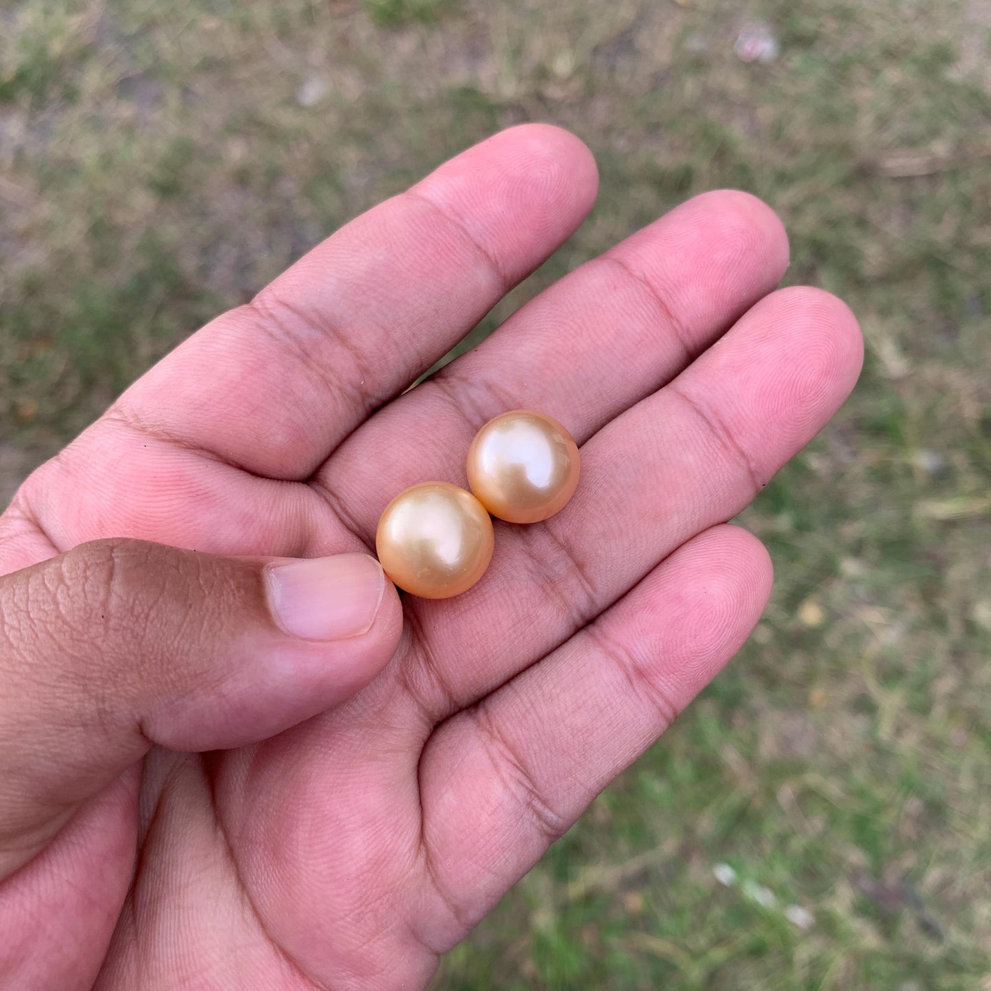 2 Pcs 13mm Golden South Sea Pearl Pair High Grade Loose Gemstones PP3-3